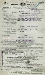 First Australian Imperial Force Personnel Dossier for Herbert Edwin Williams (National Archives of Australia, B2455/WILLIAMS H E)