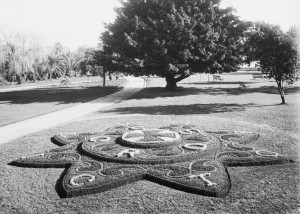 Anzac Victoria Cross flower bed, Botanic Gardens, August 1916. From NRS 4481 image MS4038P.
